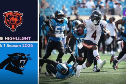 Chicago Bears vs Carolina Panthers Match Player Stats