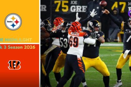 Cincinnati Bengals vs Pittsburgh Steelers Match Player Stats