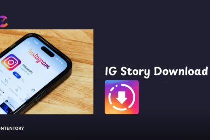 IG Story Download