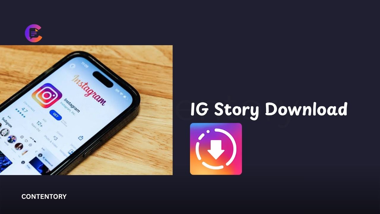 IG Story Download