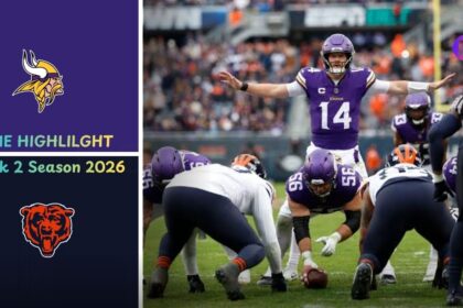 Minnesota Vikings vs Chicago Bears Match Player Stats