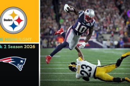 Pittsburgh Steelers vs New England Patriots Match Player Stats