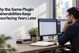 Plugin Vulnerabilities